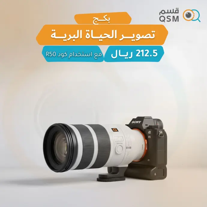 Sony A1 + Sony 100-400mm تصوير الحياة البرية