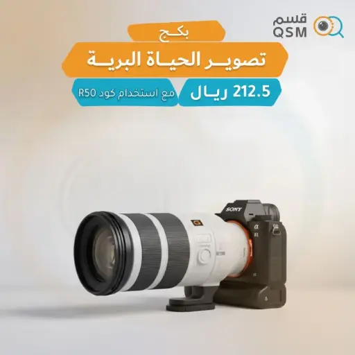 Sony A1 + Sony 100-400mm تصوير الحياة البرية